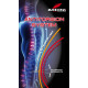 Dámský a dětský chránič páteře ZANDONA SPINE X7 černý 1607/K