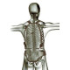 Dámský a dětský chránič páteře ZANDONA SPINE X7 černý 1607/K