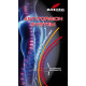 Chránič páteře ZANDONA SPINE EVC X6 1506 LEVEL2