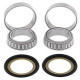 Ložiska řízení Ducati Multistrada 1200 2010 - 2017 All Balls