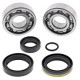 Ložiská a tesnenia kľubovky KTM SX 50 Mini 2009 - 2020 All Balls