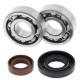 Ložiska a těsnění klikovky KTM SX PRO SR 50 2002 - 2005 All Balls