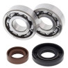 Ložiska a těsnění klikovky KTM SX PRO SR 50 2002 - 2005 All Balls