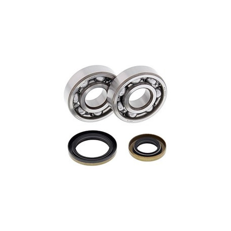 Ložiská a tesnenia klikovky Gas-Gas EC125 2003 - 2011 All Balls