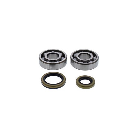 Ložiska a těsnění klikovky Gas-Gas EC125 2013 - 2015 All Balls