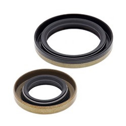 Těsnění klikovky Gas-Gas EC125 2003 - 2011 All Balls