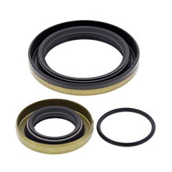 Těsnění klikovky Gas-Gas EC250 2008 - 2013 All Balls