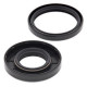 Tesnenie klikovky Husqvarna WR125 2000 - 2013 All Balls