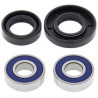 Ložiska předního kola Yamaha TTR125L Disc Brake 2000 - 2008 All Balls