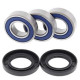 Ložiská zadného kolesa Yamaha TTR250 1999 - 2006 All Balls