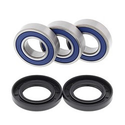 Ložiska zadního kola Yamaha TTR250 1999 - 2006 All Balls