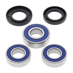 Ložiská zadného kolesa Suzuki DRZ250 NON CA MODELS PUMPER CARB 2001 - 2007 All Balls