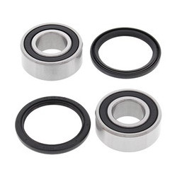 Ložiska zadního kola TM MX 250 1996 - 2004 All Balls