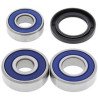 Ložiská zadného kolesa Honda VT125 SHADOW (Euro) 1999 - 2007 All Balls