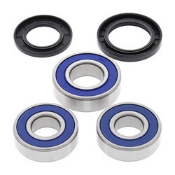 Ložiská zadného kolesa Kawasaki ZX600 (ZZR) 2003 - 2004 All Balls