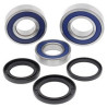 Ložiska zadního kola Yamaha YZF-R1 2015 - 2020 All Balls