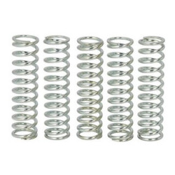 Spojkové pružiny TRW Suzuki GSX-R 1000   03-04