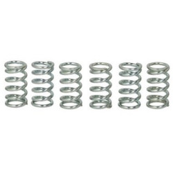 Spojkové pružiny TRW Kawasaki KLR 600   84-93