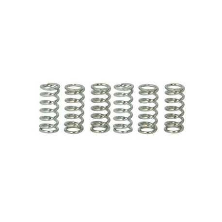 Spojkové pružiny TRW Triumph 865 Thruxton 04-07