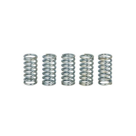 Spojkové pružiny TRW Honda CR 125 R 00-11