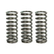 Spojkové pružiny TRW Bimota DB 9 1200 Brivido, C, S 12-