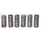 Spojkové pružiny TRW Ducati 800 Monster 797 17-