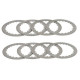 Spojkové ocelové (plechové) lamely TRW Husaberg FS 650  01-06
